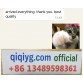 qiqiyg.com Official Reviews 2025 New Fashion Whatsapp:+8613489598361 QR059
